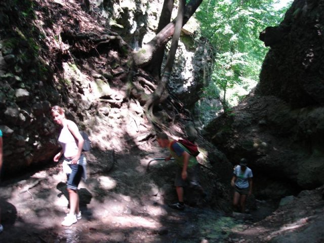 DSC05847 (Medium)